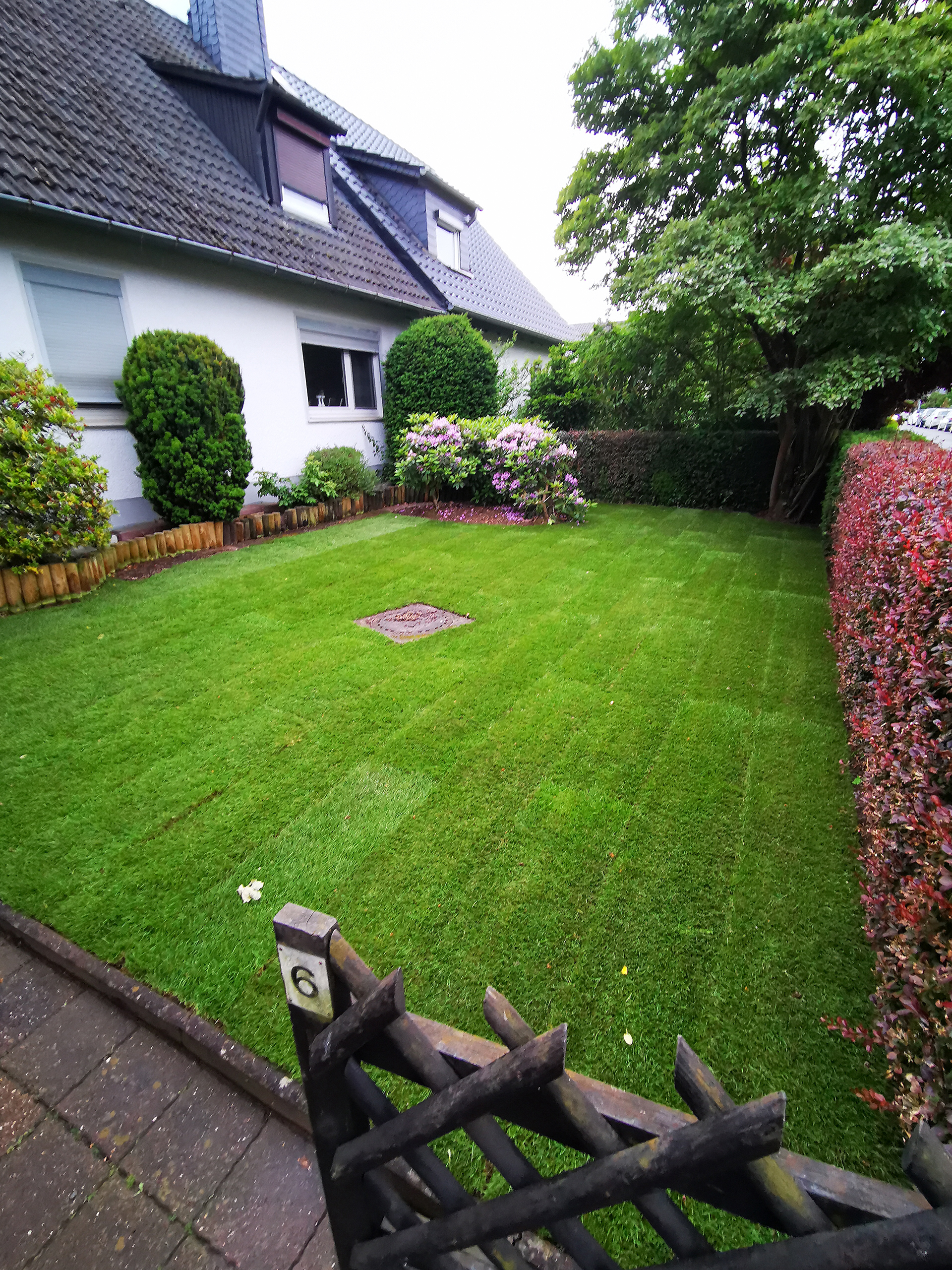 Nachher-Foto 1