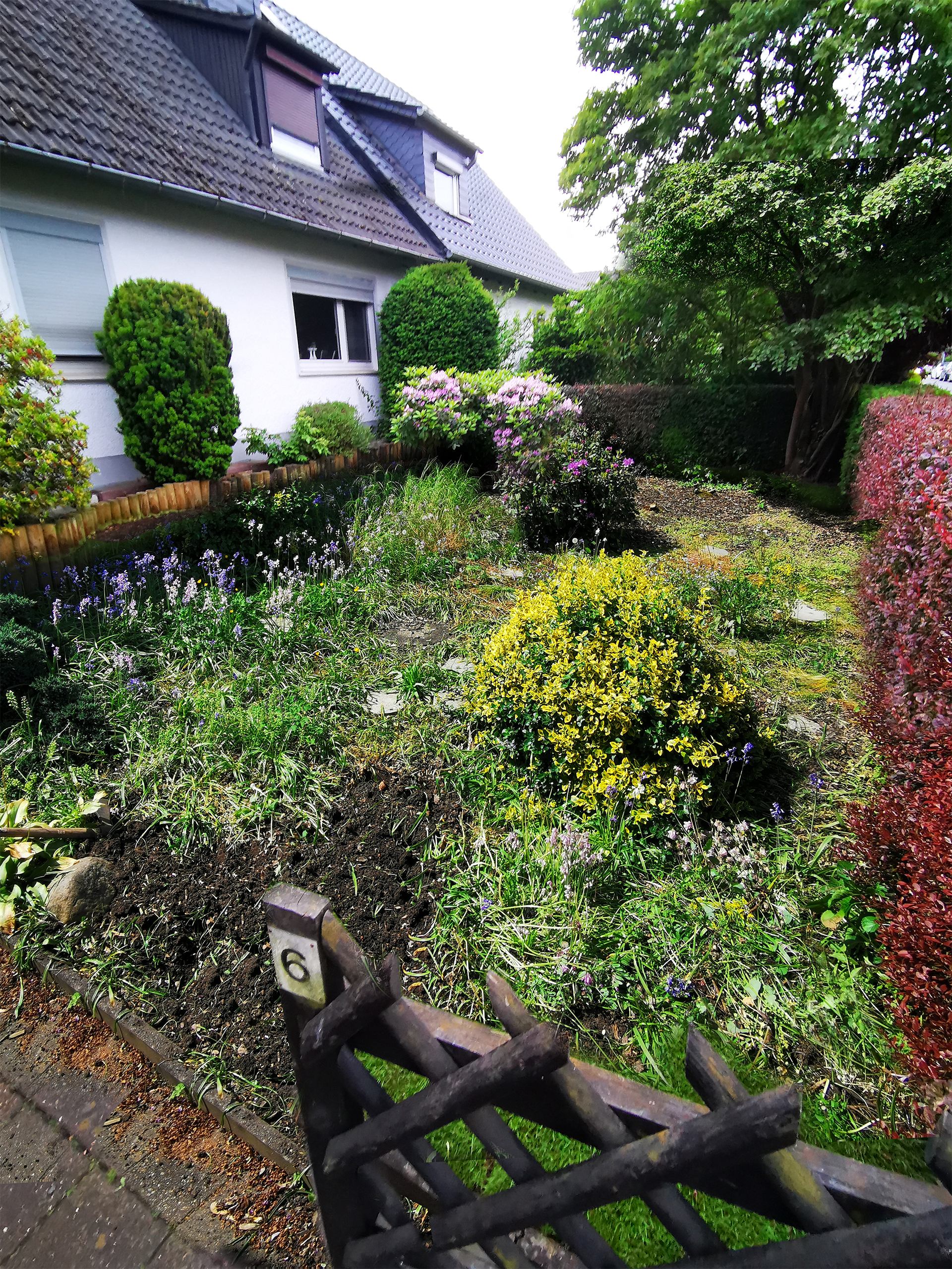 Vorher-Foto 1