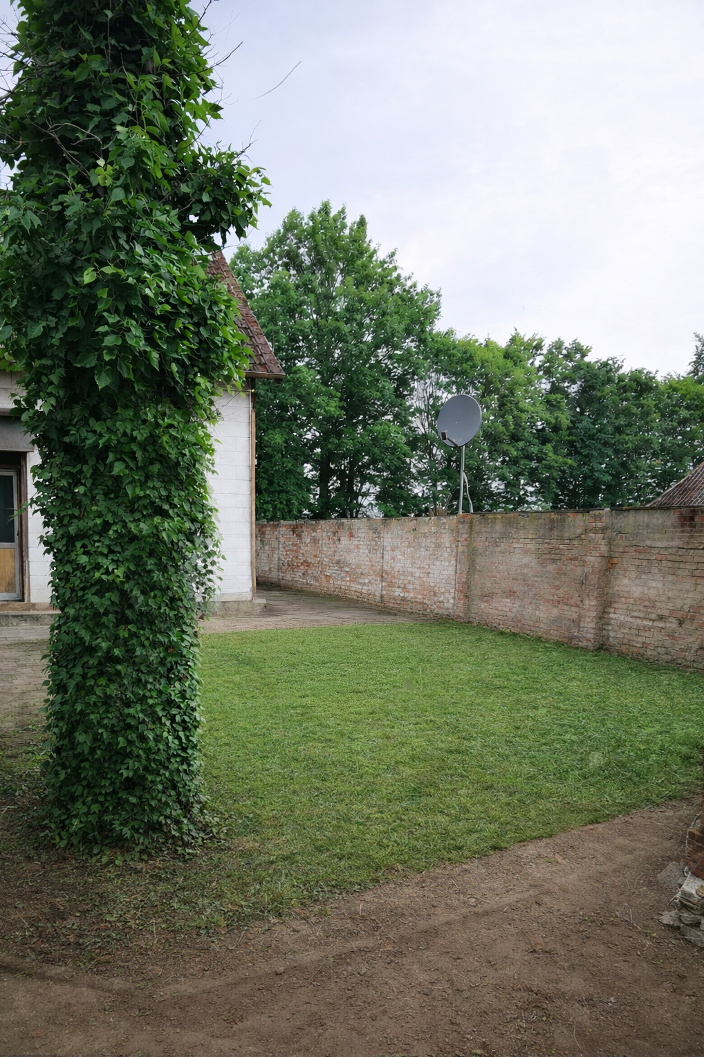 Nachher-Foto 2