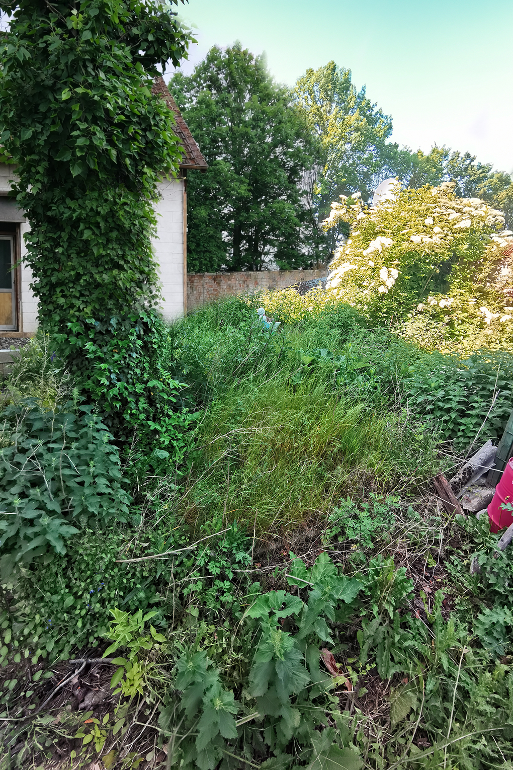 Vorher-Foto 2